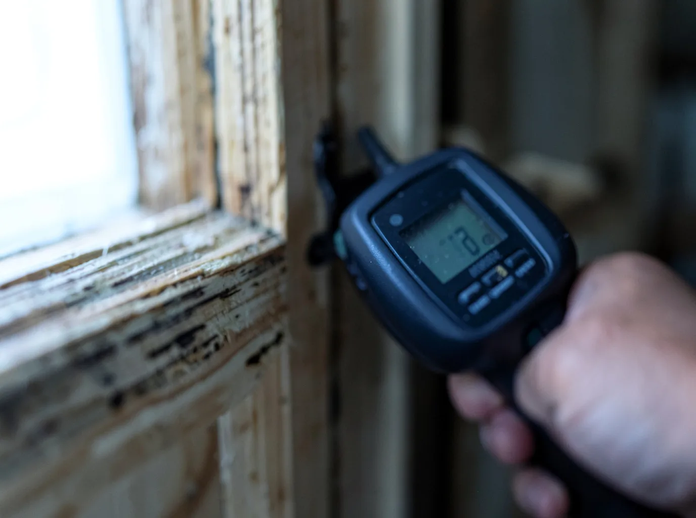 Moisture Inspection And Documentation in Monticello, AR